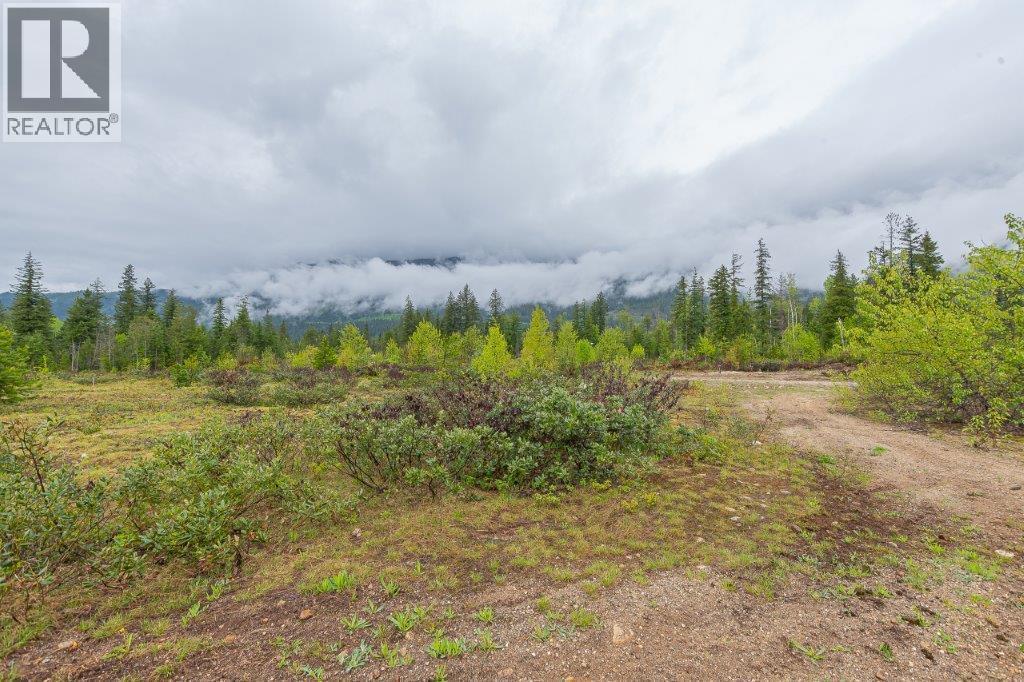 4103 Balsam Way. Malakwa, British Columbia