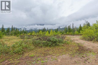 4103 Balsam Way. Malakwa, British Columbia