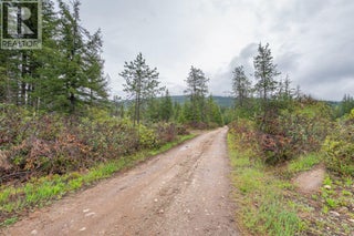 4103 Balsam Way. Malakwa, British Columbia