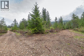 4103 Balsam Way. Malakwa, British Columbia