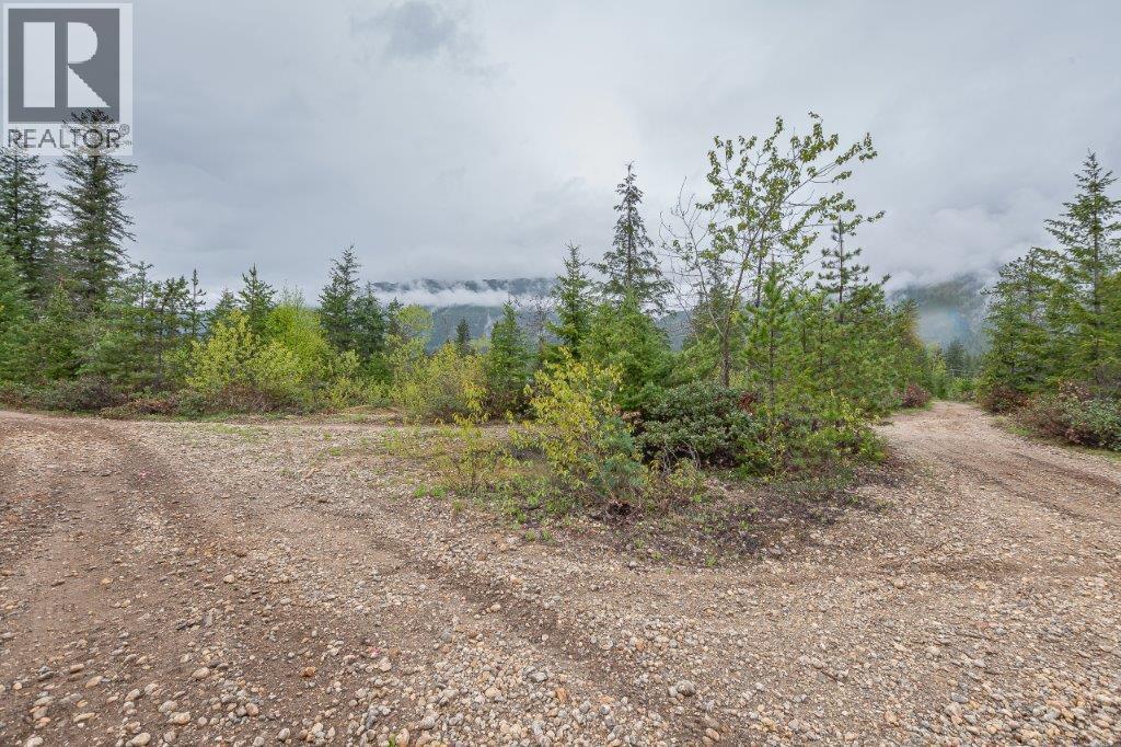 4103 Balsam Way. Malakwa, British Columbia