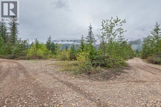 4103 Balsam Way. Malakwa, British Columbia