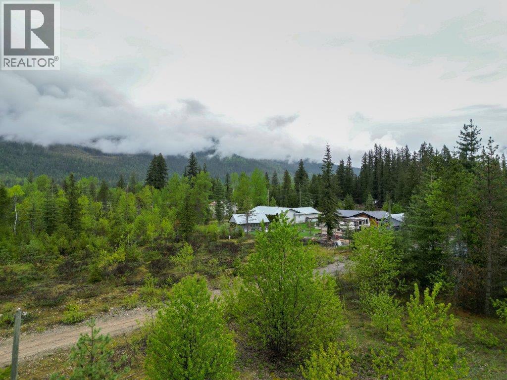 4103 Balsam Way. Malakwa, British Columbia