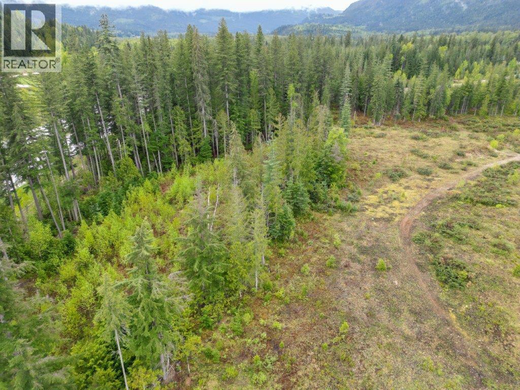 4103 Balsam Way. Malakwa, British Columbia