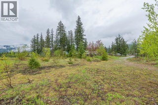 4103 Balsam Way. Malakwa, British Columbia