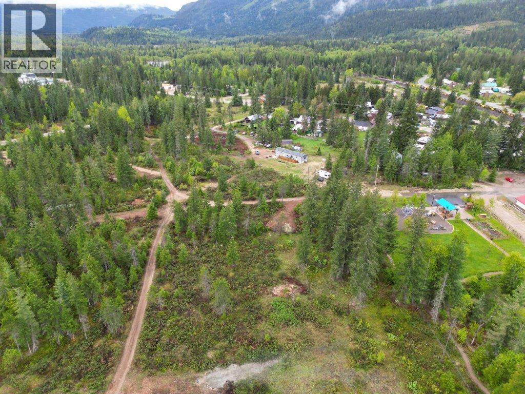 4103 Balsam Way. Malakwa, British Columbia