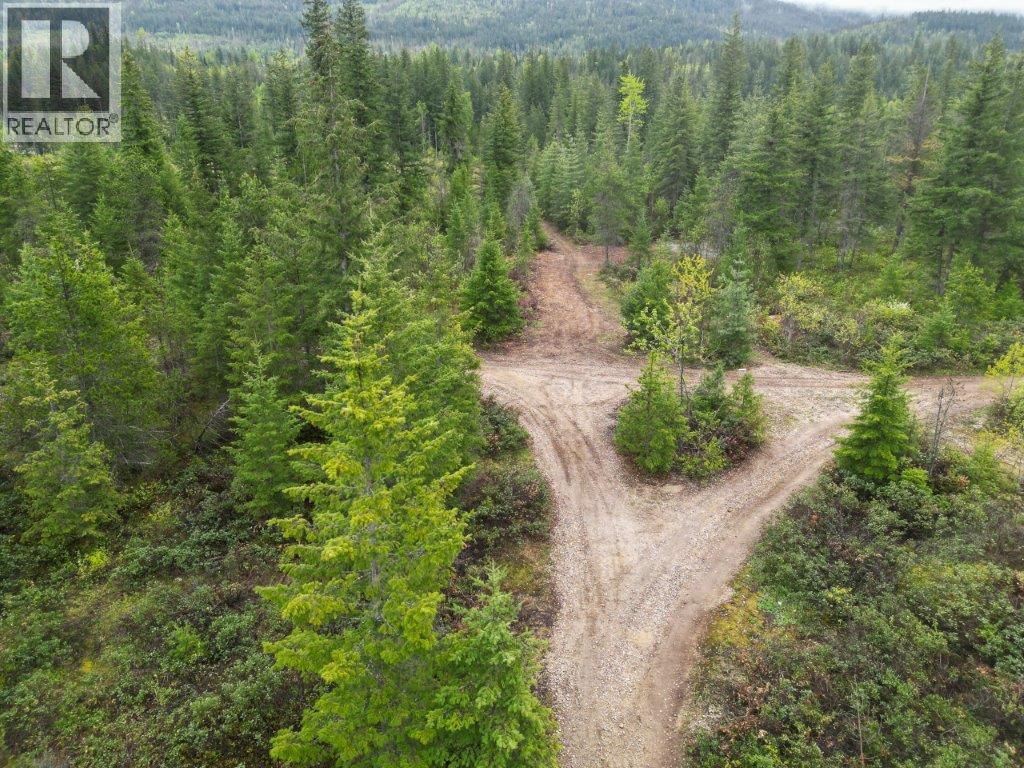 4103 Balsam Way. Malakwa, British Columbia