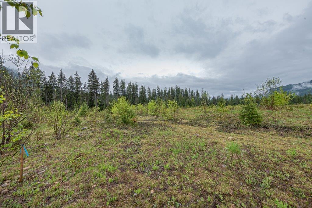 4103 Balsam Way. Malakwa, British Columbia