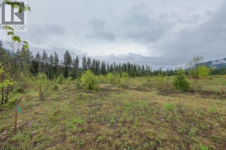 4103 Balsam Way. Malakwa, British Columbia