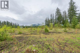 4103 Balsam Way. Malakwa, British Columbia