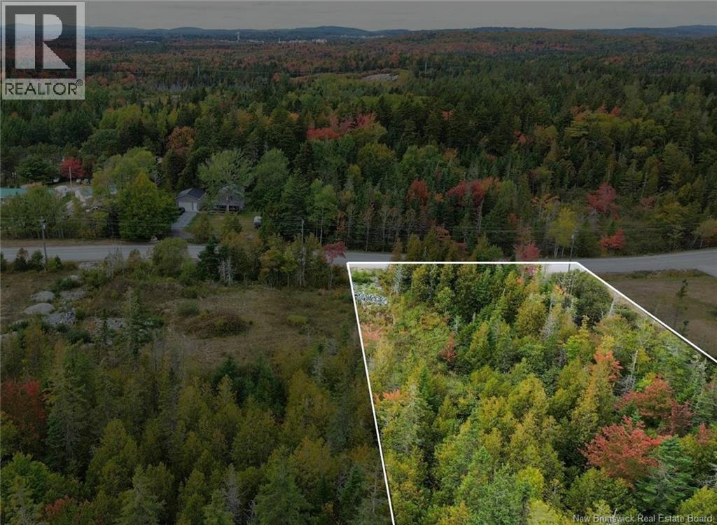 Photo of Listing #NB115284