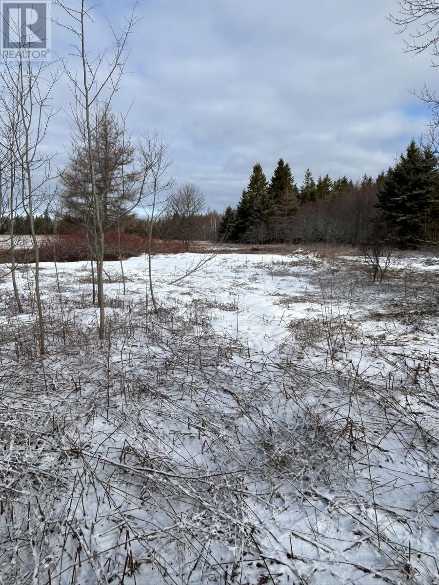 Lot Baltic Road, East Baltic