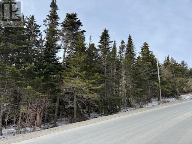 0 Saddle Hill, Carbonear