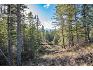 370 Charles Road. Cherryville, British Columbia