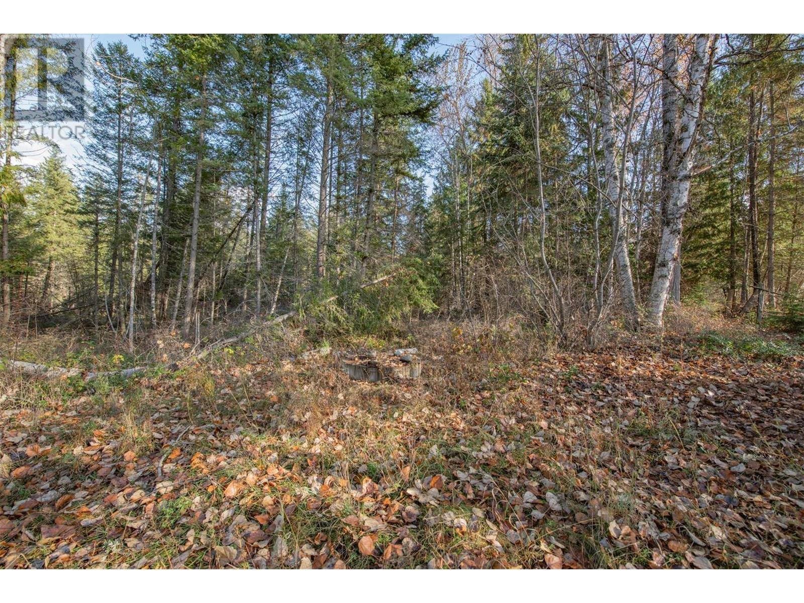 370 Charles Road. Cherryville, British Columbia