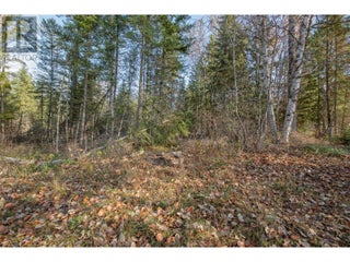 370 Charles Road. Cherryville, British Columbia