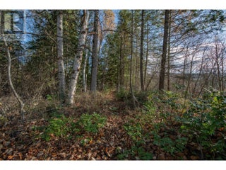 370 Charles Road. Cherryville, British Columbia