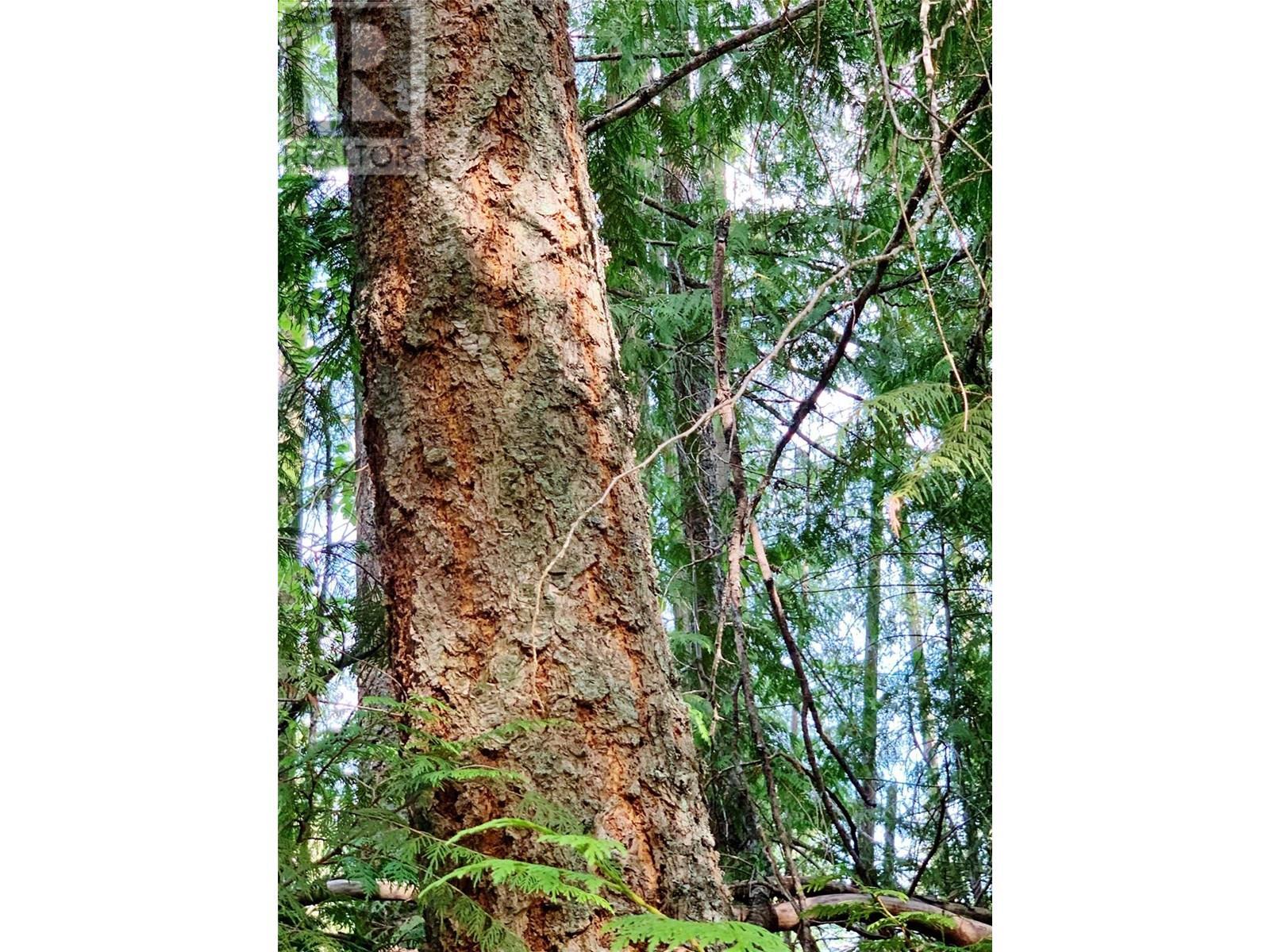 65 Huckleberry Drive. Sorrento, British Columbia