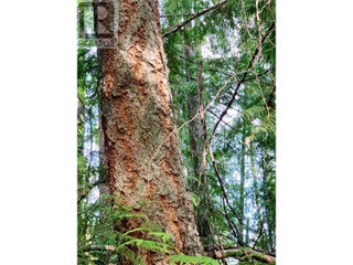 65 Huckleberry Drive. Sorrento, British Columbia