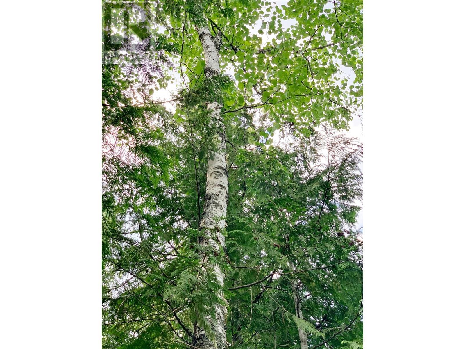 65 Huckleberry Drive. Sorrento, British Columbia