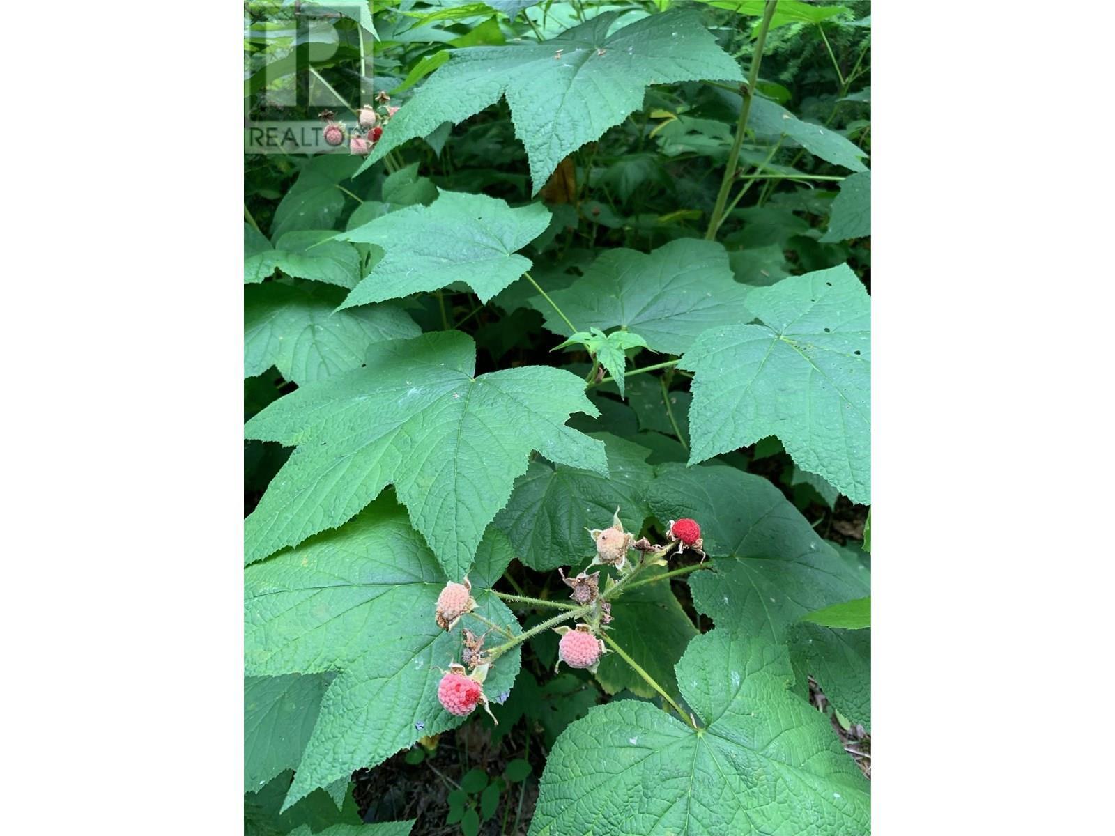 65 Huckleberry Drive. Sorrento, British Columbia