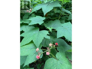 65 Huckleberry Drive. Sorrento, British Columbia