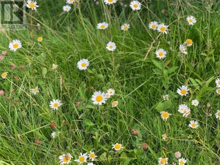 65 Huckleberry Drive. Sorrento, British Columbia