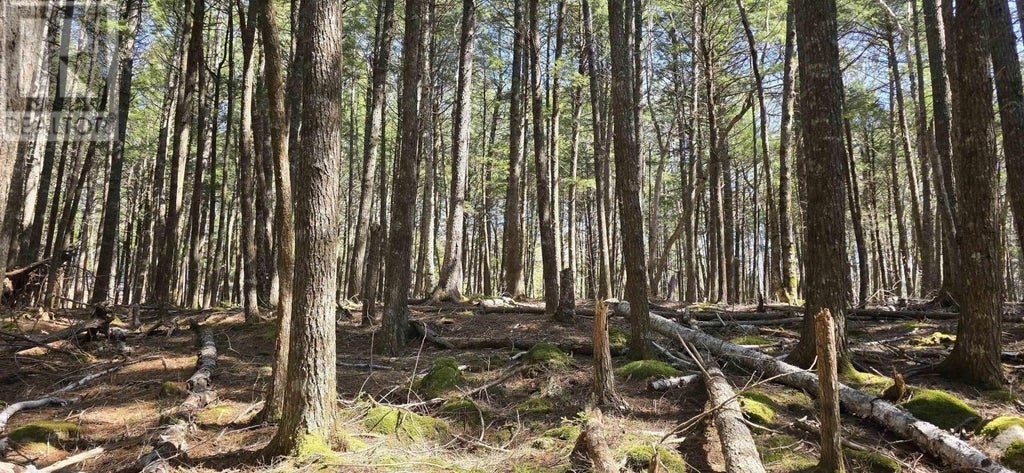 Lot 3 Beaver Row, Labelle