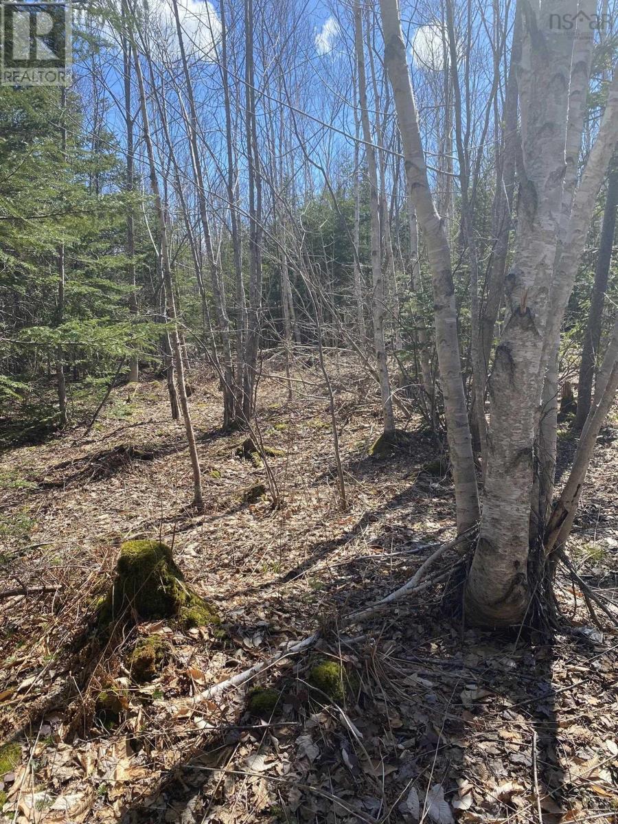 Scotsville Road, Kenloch