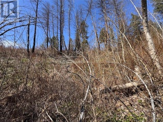 Lot 25 Hodges Road. Vernon, British Columbia