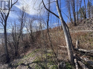 Lot 25 Hodges Road. Vernon, British Columbia