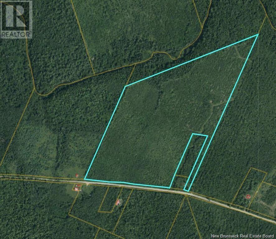 Photo of Listing #NB115970