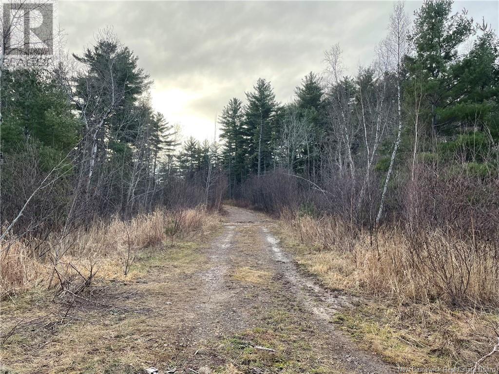 Photo of Listing #NB116027