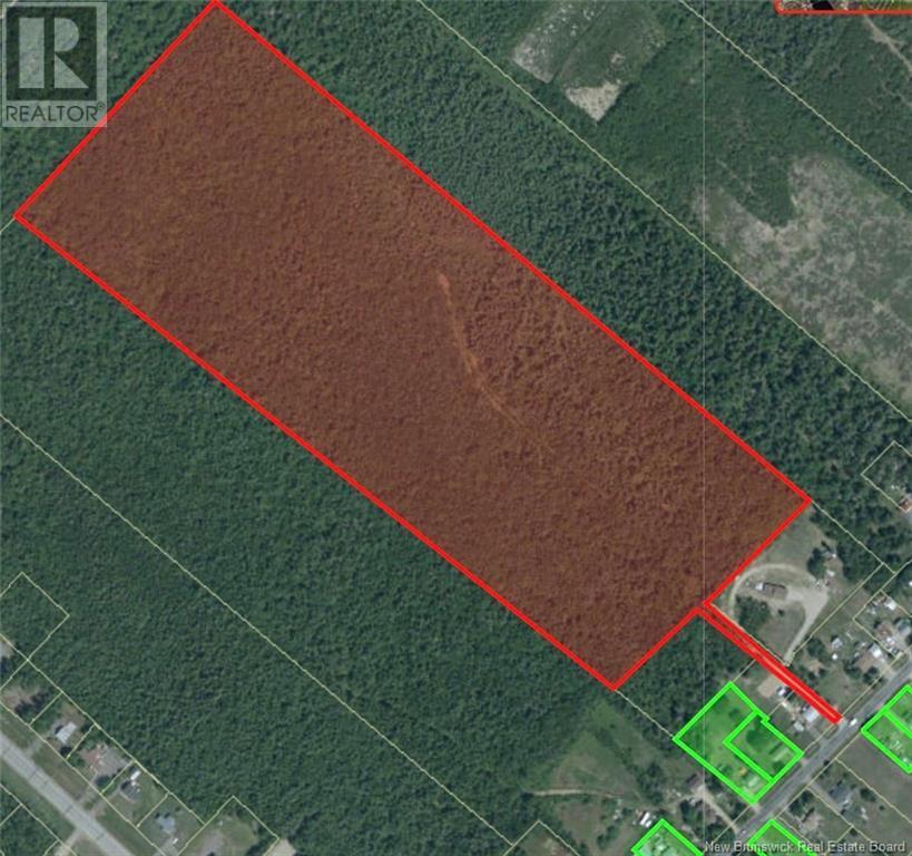 Photo of Listing #NB116100