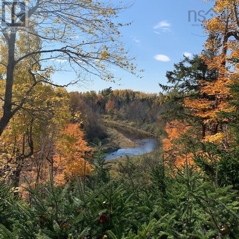 Lot 5 Acre Palmer Road|wentworth Valley Preserve, Wentworth Valley
