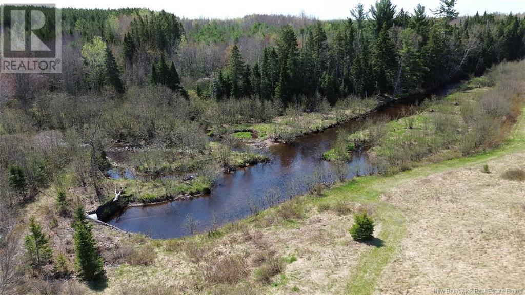 Photo of Listing #NB114901