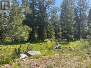 125 Sasquatch Trail. Osoyoos, British Columbia