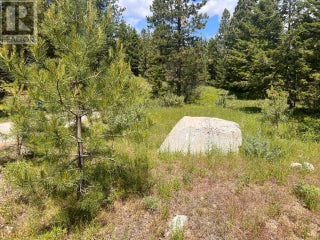 125 Sasquatch Trail. Osoyoos, British Columbia