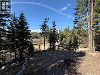 221 Link Lake Road. Princeton, British Columbia