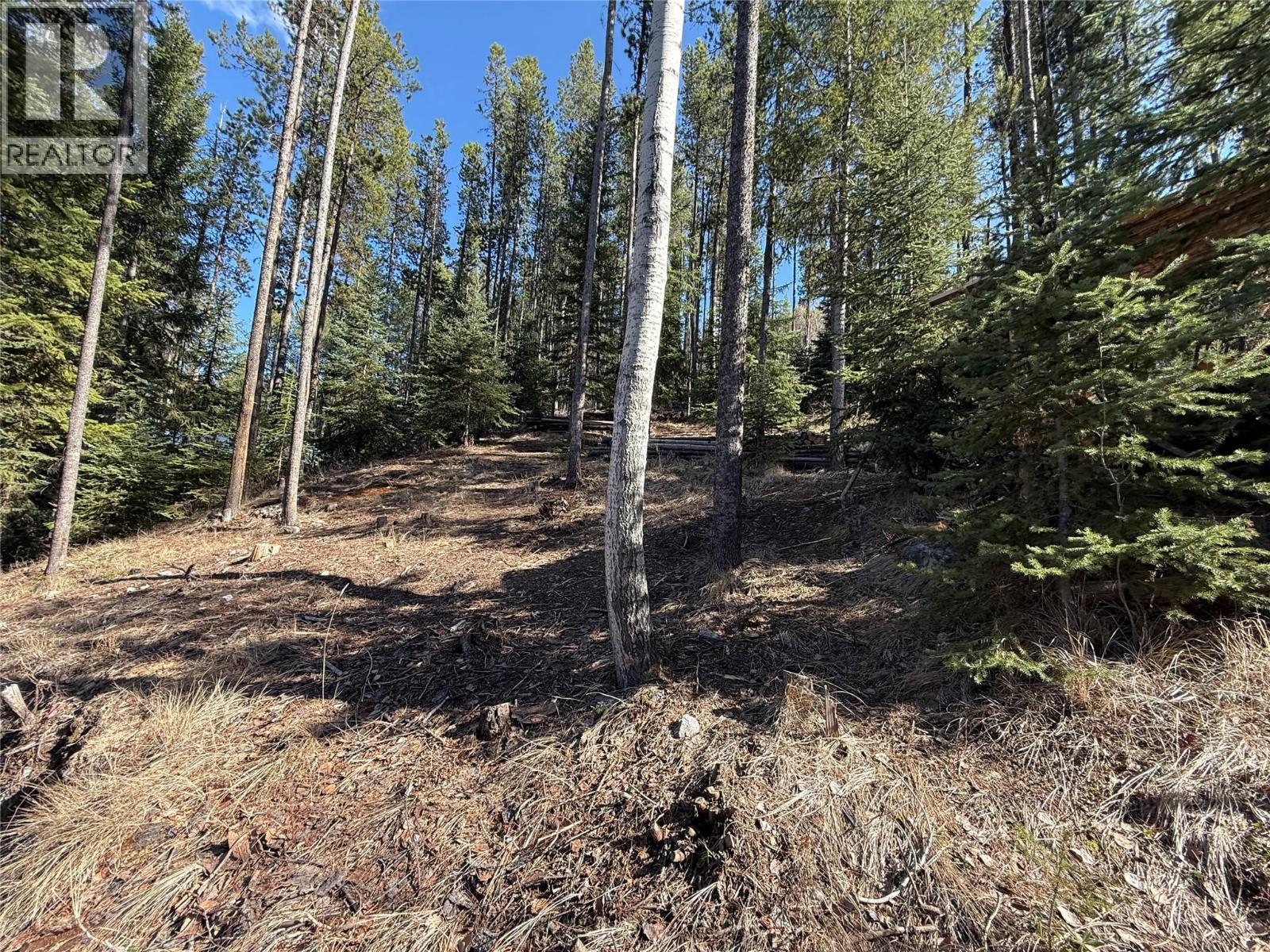 221 Link Lake Road. Princeton, British Columbia