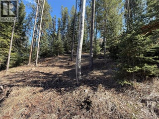 221 Link Lake Road. Princeton, British Columbia