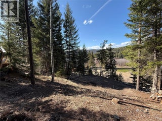 221 Link Lake Road. Princeton, British Columbia