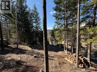 221 Link Lake Road. Princeton, British Columbia