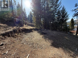 221 Link Lake Road. Princeton, British Columbia