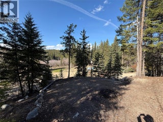 221 Link Lake Road. Princeton, British Columbia