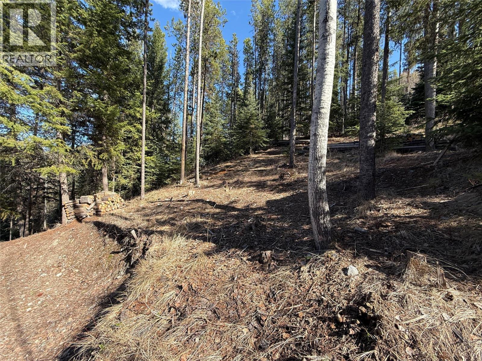 221 Link Lake Road. Princeton, British Columbia