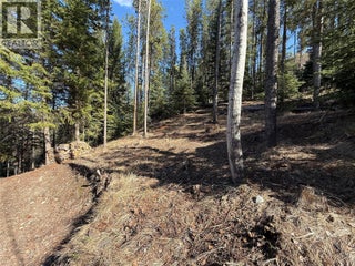 221 Link Lake Road. Princeton, British Columbia