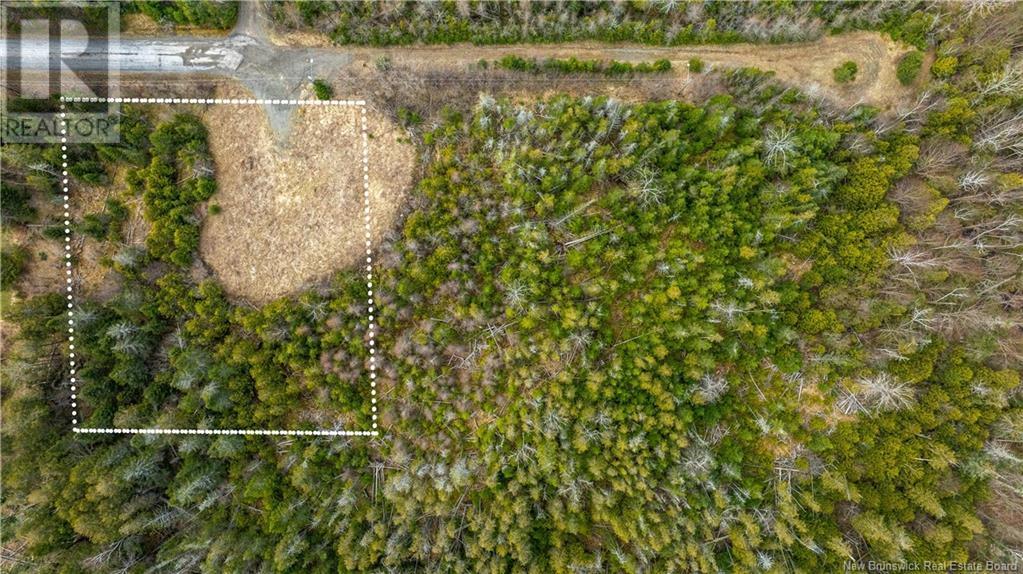 Photo of Listing #NB116073