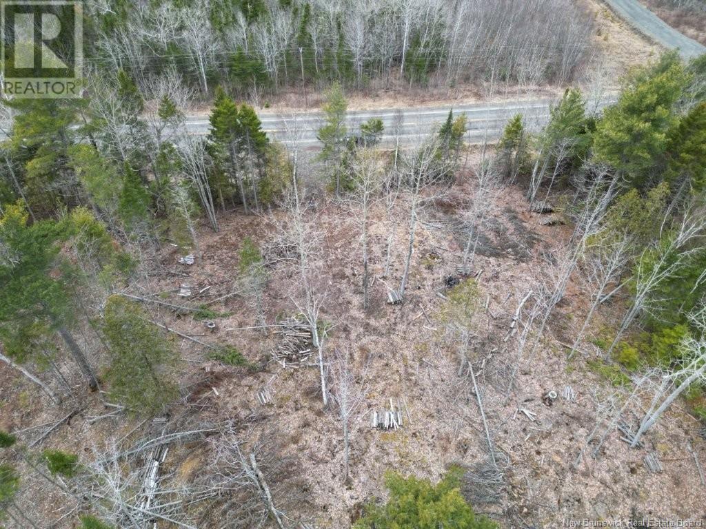 Photo of Listing #NB116418