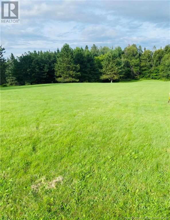 Photo of Listing #NB116539